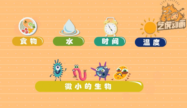 mg动画